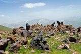 The Guard Of Alborz Mountains