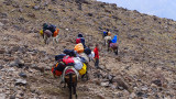 The Mule Ride Down To Camp 2