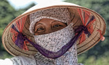 Eyes of Vietnam