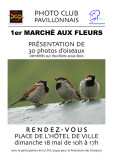 Expo Marché aux Fleurs