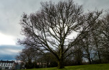 scotland_14