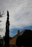55161169spring light0316.jpg