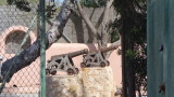 Castillo de Formentera…the amazing ‘folly’ on Migjorn beach…complete with its own cannons! Pirates Ahoy!