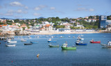 Cascais fishing boats