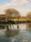 Late autumn at the old fishing pond.
