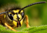 Some New Macro's