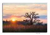 Sunset, Pickerington Ponds