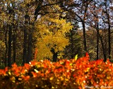 Starved Rock 11-2013 05.jpg