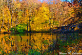 Matthiessen State Park 11-2013 001.jpg