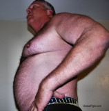 my husky daddybear.jpg