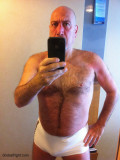 silverdaddie polarbear pictures.jpg