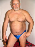 stern looking hot bear.jpg
