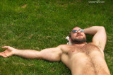 gay beach musclebears.jpg