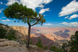 Las Vegas, Zion NP, Horseshoe Bend and Grand Canyon North & South Rims - September 2016