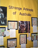 NWES Hall display