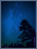 Orion Lone Pine