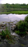 Massapequa Preserve on Long Island