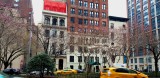 Spring arrives in New York City