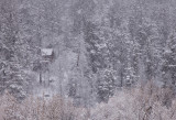 Snow!!!