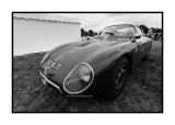 Alfa Romeo Giulia TZ (?), Le Mans