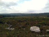 Dolly Sods Wilderness, WV