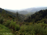 Blue Ridge Parkway view