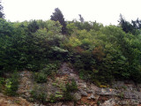 Blue Ridge Parkway view