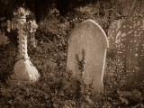_9180111.jpg
