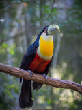 20130612_Foz do Iguacu_0067.jpg