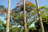 O JARDIM DA SOCIEDADE GERMANIA IMG_0173.JPG