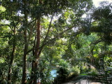 O JARDIM DA SOCIEDADE GERMANIA IMG_0180.JPG