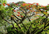 O JARDIM DA SOCIEDADE GERMANIA IMG_0183.JPG