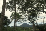 A NATUREZA NO SITIO IMG_1682.JPG
