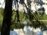 AM WIMPFELEWEIHER IMG_2210.JPG