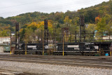 Bluefield