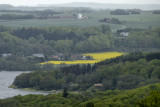 La campagne danoise / The Danish countryside