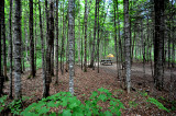 Camping presque sauvage
