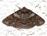 8703, Zale duplicata