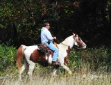 1624 Nature Trail Big Meadows 09-22-13.jpg