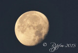 2569 Moon at Sunrise Chincotegue 11-27-15.jpg
