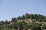 Jordan Ajlun Castle 2013 0922.jpg