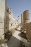 Jordan Jerash 2013 0759.jpg