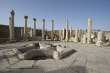 Jordan Jerash 2013 0897.jpg