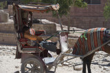 Jordan Petra 2013 2371.jpg