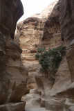 The Siq