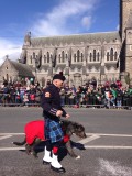 iphone_pictures