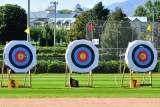 archery_arrows_in_flight