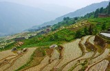 Rice Terraces, Longsheng