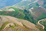 Rice Terraces, Longsheng