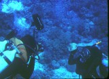 Moses Sole story Red Sea 1972